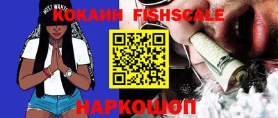 jwh Брянск