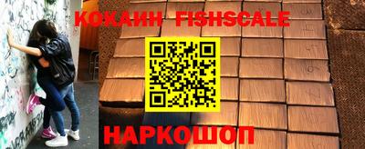 jwh Брянск