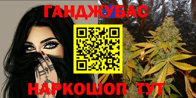 прущие грибы Братск