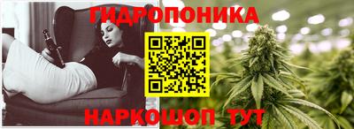 прущие грибы Братск