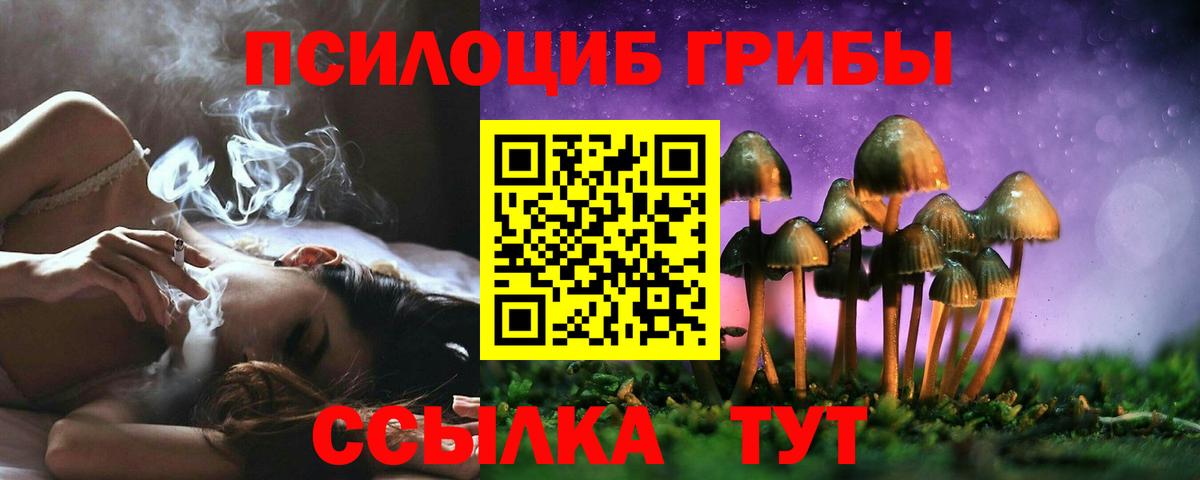 Галлюциногенные грибы Psilocybine cubensis  Вход с VPN  Галлюциногенные грибы Psilocybine cubensis  Рассказово 